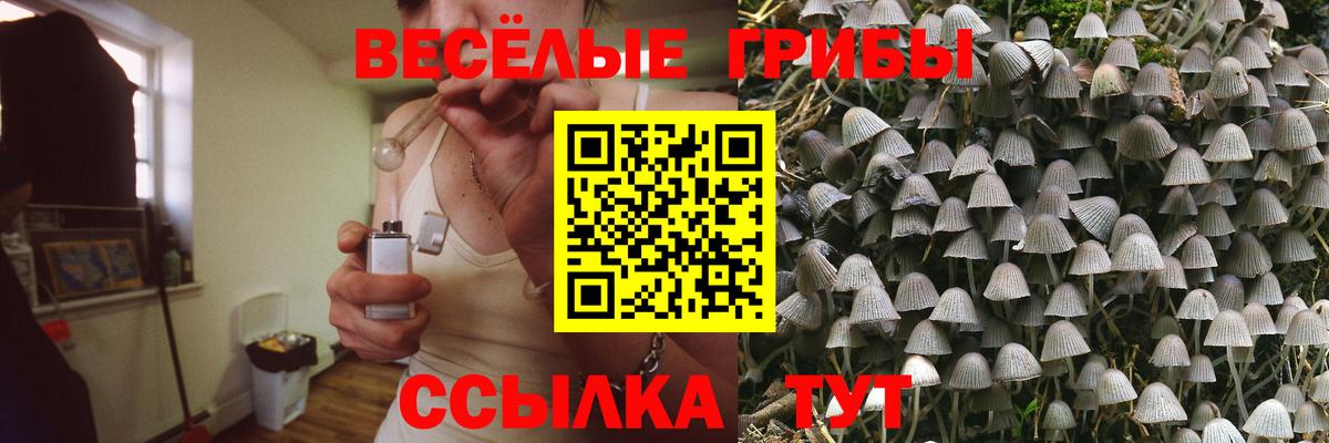 Кашира  Галлюциногенные грибы мухоморы  Вход с VPN 
